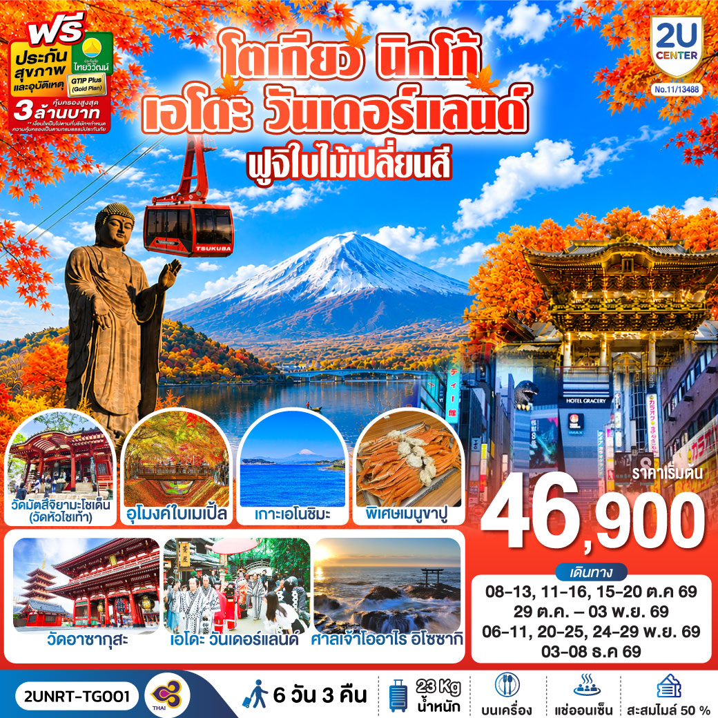 โตเกียว นิกโก้ เอโดะ วันเดอร์แลนด์  ฟูจิใบไม้เปลี่ยนสี 6วัน 3คืน โดยสายการบินไทย (TG)