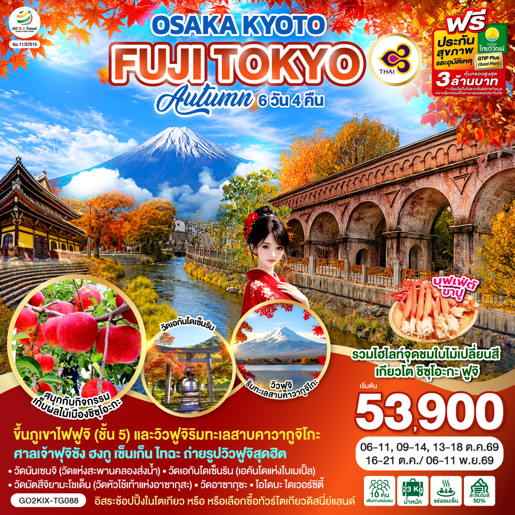 OSAKA KYOTO FUJI TOKYO  AUTUMN FRUIT PARK  6D 4N โดยสายการบินไทย [TG]